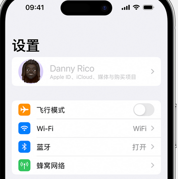 寿阳appleID维修服务iPhone设置中Apple ID显示为灰色无法使用 