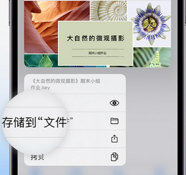 寿阳apple维修中心分享iPhone文件应用中存储和找到下载文件