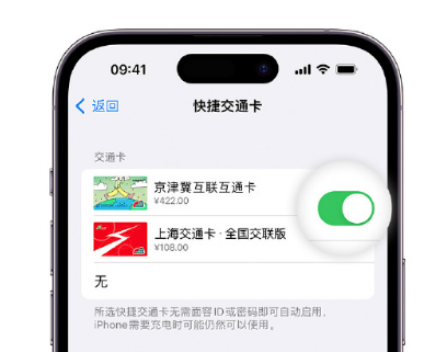 寿阳apple维修点分享iPhone上更换Apple Pay快捷交通卡手绘卡面 