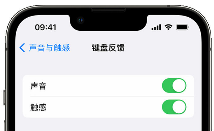 寿阳苹果手机维修分享iPhone 14触感键盘使用方法 