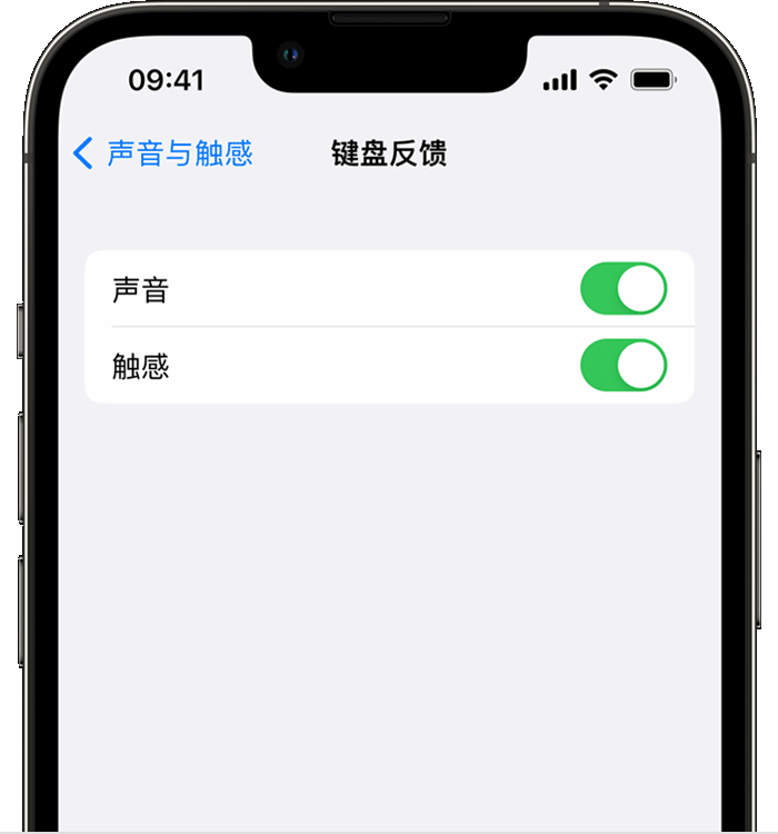 寿阳苹果14维修店分享如何在 iPhone 14 机型中使用触感键盘 