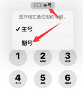 寿阳苹果14维修店分享iPhone 14 Pro Max使用副卡打电话的方法 