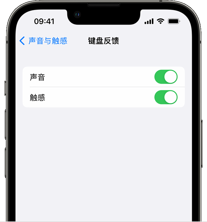 寿阳苹果14维修分享iPhone 14 系列机型如何开启键盘声音或触感反馈 