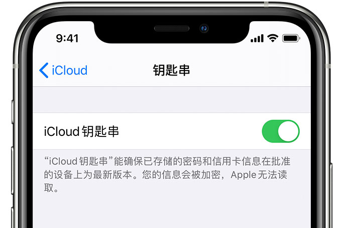 寿阳苹果手机维修分享在 iPhone 上开启 iCloud 钥匙串之后会储存哪些信息 