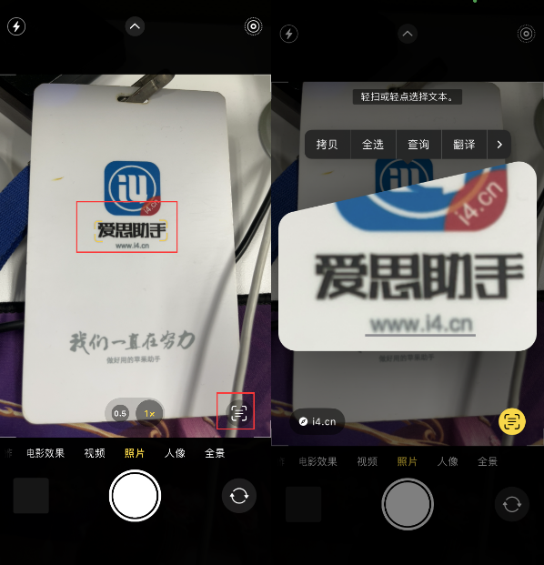 寿阳苹果手机维修分享升级iOS 16后如何通过相机翻译文本 