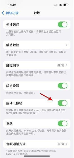 寿阳苹果手机维修分享iPhone手机如何设置摇一摇删除文字 